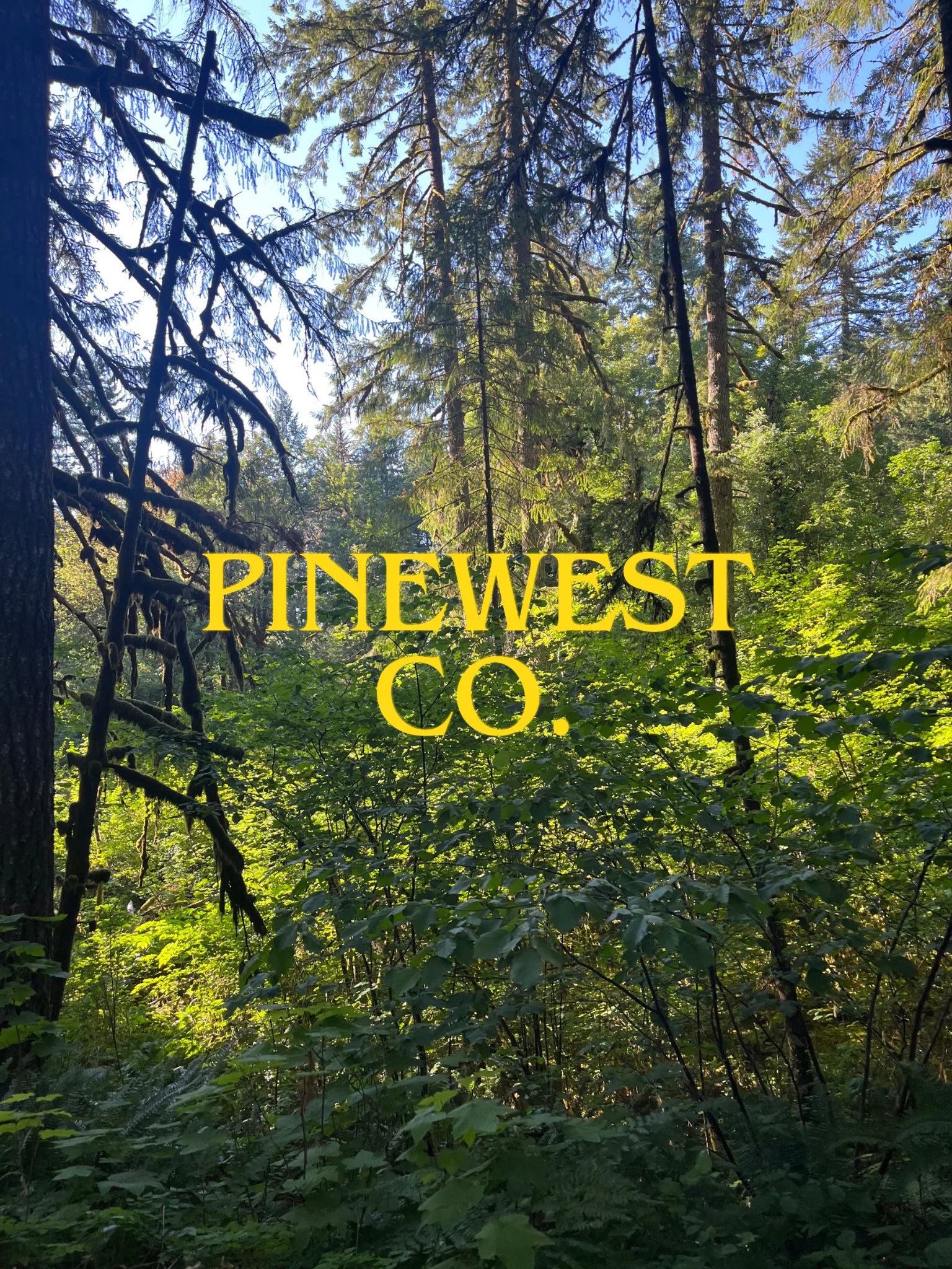 Pine West Co.